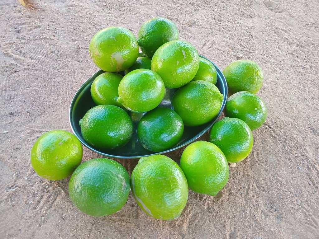 Citrons Verts