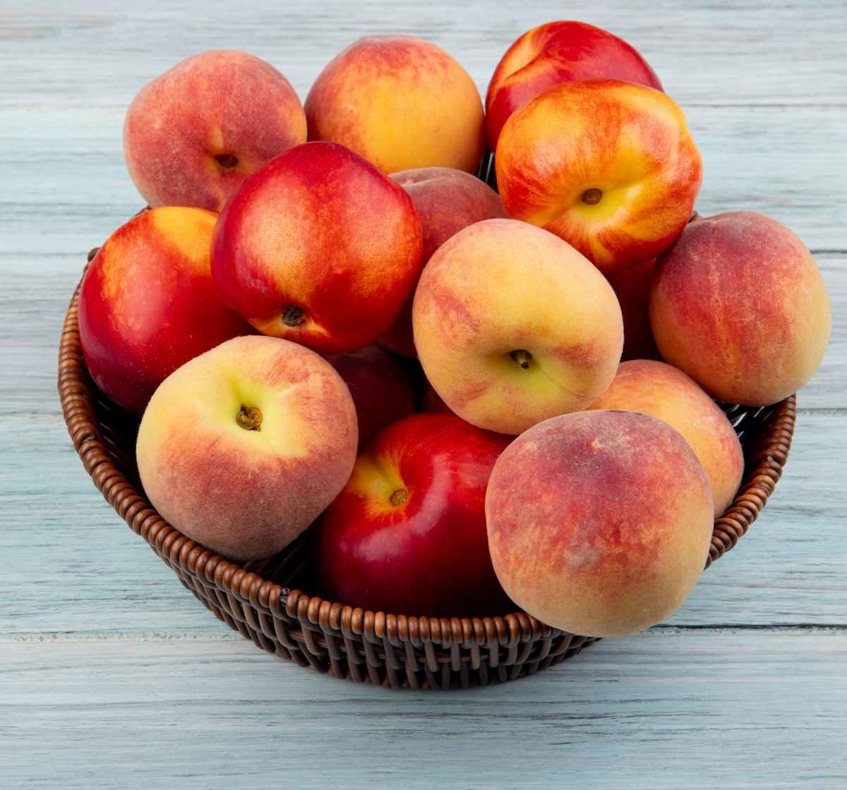 Les fruits à noyau