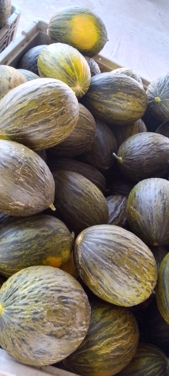 Fruits Importés Premium