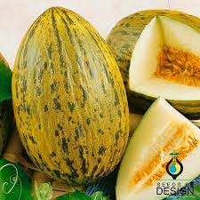 Melon VERT