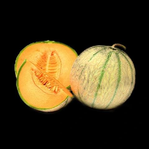 Melon Charentais