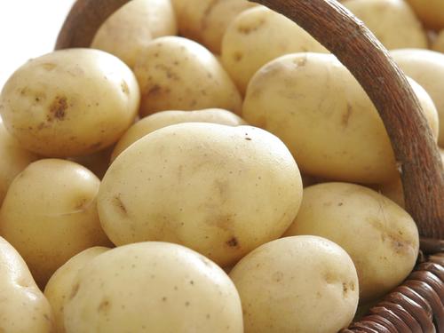 POMME DE TERRE BLANCHE