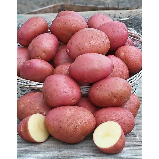 POMME DE TERRE ROUGE