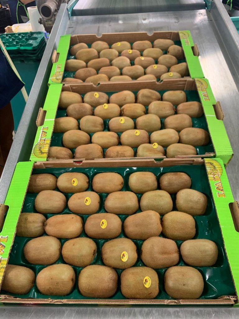 Kiwis Grèce