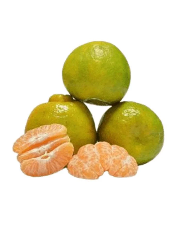 ORANGE LOCAL